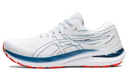 Кроссовки Asics Gel-Kayano 29 White Deep Ocean 1011b440-101
