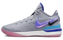 Кроссовки Nike LeBron NXXT Gen, серый/мультиколор dr8788-002