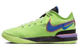Кроссовки Nike LeBron NXXT Gen, светло-зеленый/синий/черный dr8788-300