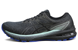 Мужские кроссовки Asics GT-2000 10 1011b412-020