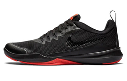 Мужские тренировочные кроссовки Nike Legend Trainer 924206-060