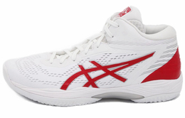 Мужские баскетбольные кроссовки Asics Gel-Hoop V14 1063a060-104