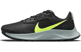 Мужские кроссовки для бега Nike Pegasus Trail 3 da8697-002