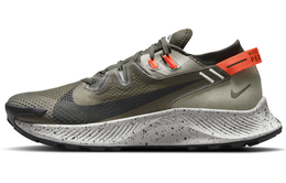 Кроссовки Nike Pegasus Trail 2 цвета хаки ck4305-301
