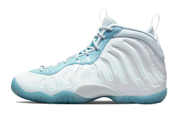 Женские баскетбольные кроссовки Nike Foamposite One Vintage dm1090-400