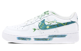 Кроссовки Nike Air Force 1 Skateboard Shoes Unisex Low-Top White Blue cw2288-111