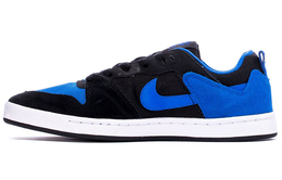 Мужские кроссовки для скейтбординга Nike SB Alleyoop cj0882-004