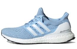 Женские беговые кроссовки Adidas Ultraboost Clima eg8078