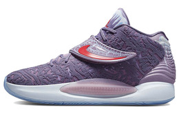 Баскетбольные кроссовки Nike KD 14 унисекс dj4336-900