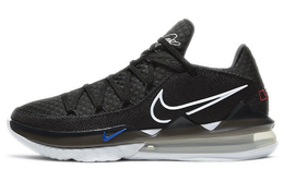 Баскетбольные кроссовки Nike Lebron 17 мужские cd5007-002