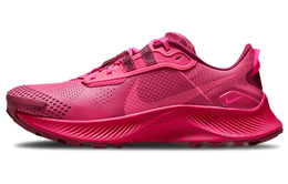 Женские беговые кроссовки Nike Pegasus Trail 3 dm9468-600