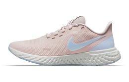 Женские беговые кроссовки Nike Revolution 5 Series bq3207-604