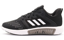 Женские кроссовки Adidas Climacool 2.0 cg3921