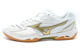 Кроссовки Mizuno унисекс 71ga210050