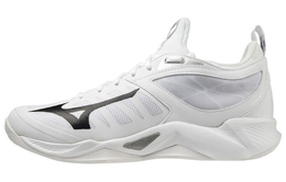 Кроссовки Mizuno унисекс v1ga224009