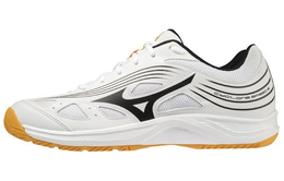 Кроссовки Mizuno Cyclone Speed 3 унисекс v1ga218013