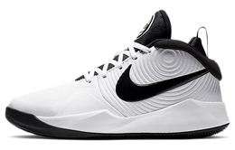 Женские баскетбольные кроссовки Nike Team Hustle D 9 aq4224-100