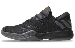 Мужские баскетбольные кроссовки Adidas Harden B/E cg4192