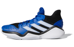 Мужские баскетбольные кроссовки Adidas Harden Stepback 1 eg2769