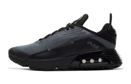 Женские кроссовки Nike Air Max 2090 cj4066-001
