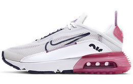 Женские кроссовки Nike Air Max 2090 cj4066-003