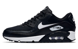 Женские кроссовки Nike Air Max 90 325213-047