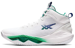 Мужские баскетбольные кроссовки Asics Nova Surge 2 1061a040-101
