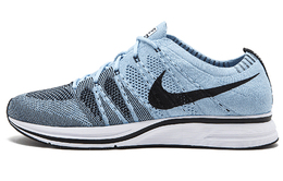Кроссовки Nike Flyknit Trainer Lifestyle унисекс ah8396-400