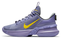 Мужские баскетбольные кроссовки Nike Ambassador 13 cq9329-500