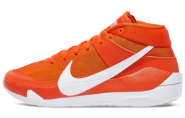 Мужские баскетбольные кроссовки Nike KD 13 cw4115-802