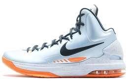 Мужские баскетбольные кроссовки Nike KD 5 554988-400