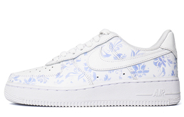 Кроссовки Nike Air Force 1 Skateboard Shoes Unisex Low-Top White Blue cw2288-111