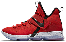 Мужские баскетбольные кроссовки Nike Lebron 14 921084-600
