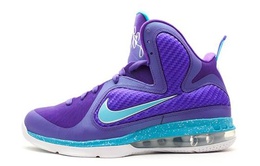 Мужские баскетбольные кроссовки Nike Lebron 9 469764-500