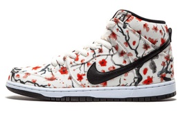 Высокие кроссовки для скейтбординга Nike Dunk SB, женские 305050-106