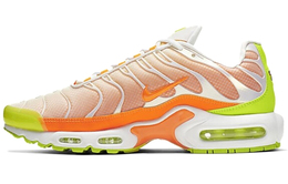 Кроссовки Nike Air Max Plus унисекс ci5924-531