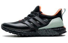 Кроссовки для бега Adidas Ultraboost Guard унисекс fw7759