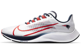 Кроссовки для бега Nike Pegasus 37 унисекс cz5456-100