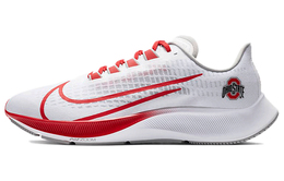 Кроссовки для бега Nike Pegasus 37 унисекс cz5385-100