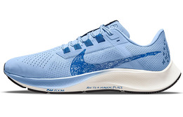 Кроссовки для бега Nike Pegasus 38 унисекс dm1610-400