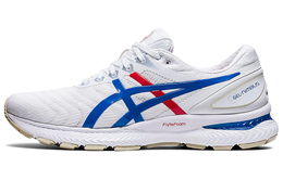 Кроссовки мужские Asics GEL-Nimbus 22 1011a780-100