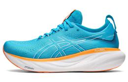 Кроссовки мужские Asics GEL-Nimbus 25 1011b547-400