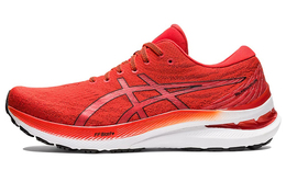 Кроссовки мужские Asics Gel-Kayano 29 1011b440-800