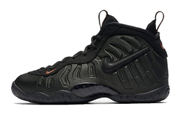 Женские баскетбольные кроссовки Nike Foamposite Pro Vintage 644792-300