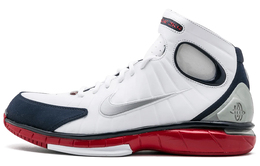 Мужские баскетбольные кроссовки Nike 2K4 Vintage 511425-100
