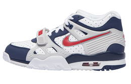Мужские баскетбольные кроссовки Nike Air Trainer 3 Vintage cn0923-400
