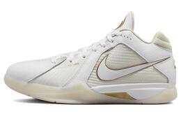 Мужские баскетбольные кроссовки Nike KD 3 Vintage dz3009-100