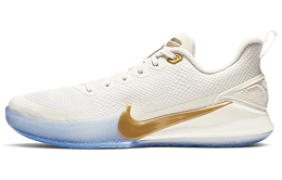 Мужские баскетбольные кроссовки Nike Mamba Focus Vintage ao4434-004