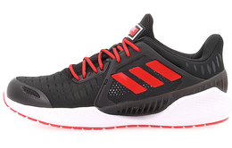 Мужские кроссовки Adidas Climacool 2.0 eg1117