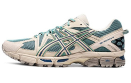 Мужские кроссовки Asics Gel-Kahana 8 1011b109-300